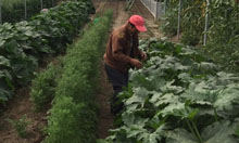 Ecuador Tierra Viva Foundation. Ecuador Volunteer. International Voluntary Organization. International volunteering. Volunteer organization. Community Development